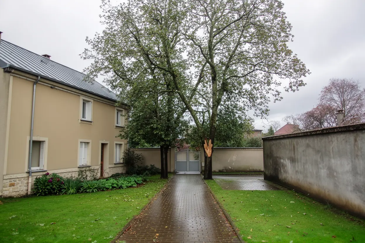 Allée sécurisée après retrait de la branche cassée
