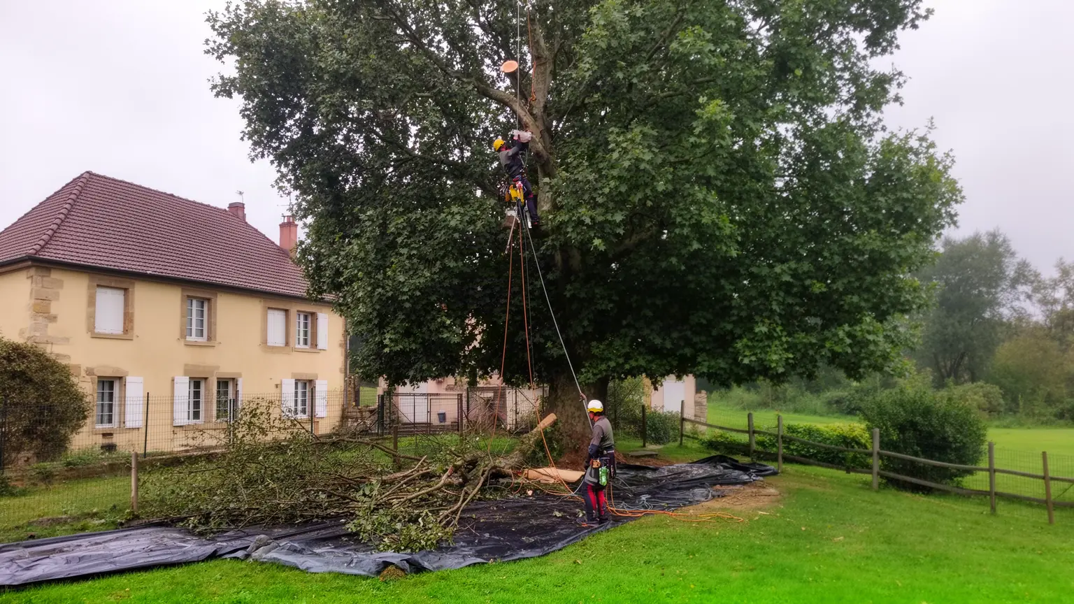 Élagueur professionnel à Saint-Julien-lès-Metz et alentours